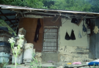 전면