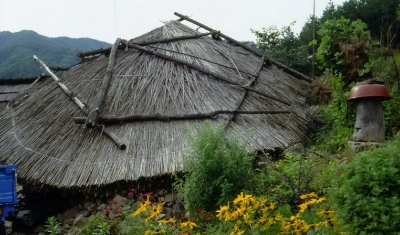 겨릅 상세