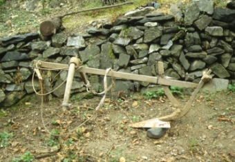 보그레