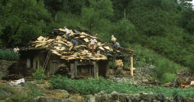 삼척 신리 강봉문 가옥 너와 교체 모습(1991~1993) 2